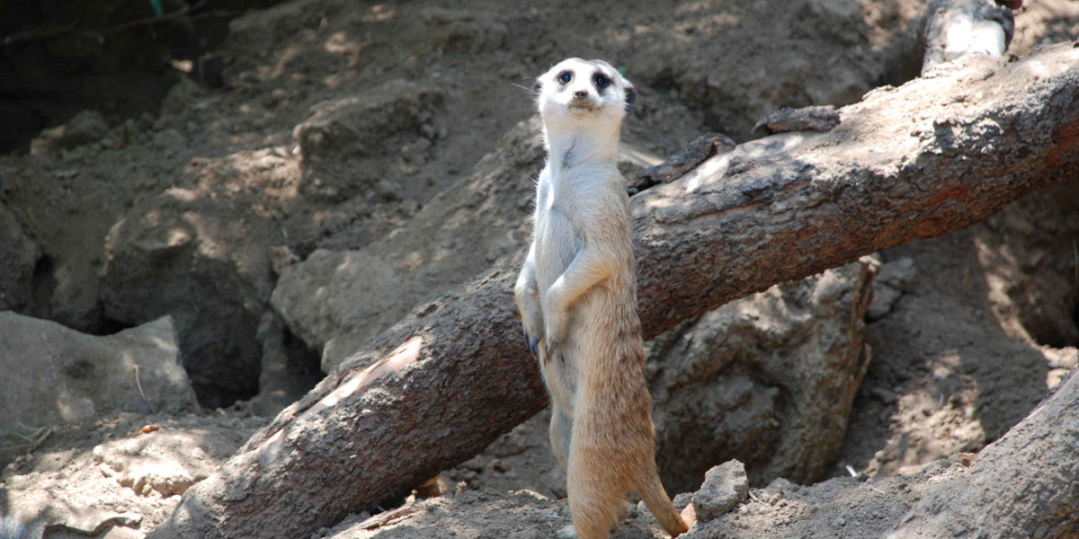 12 tiết kiệm năng lượng được ưa chuộng tại Cần Thơ