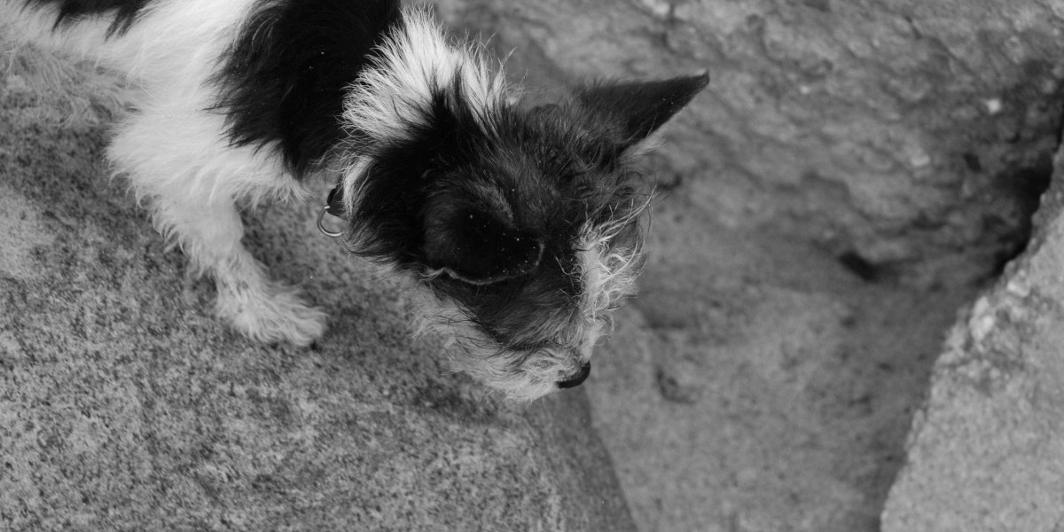 17 giải pháp nhà ở được ưa chuộng tại Cần Thơ