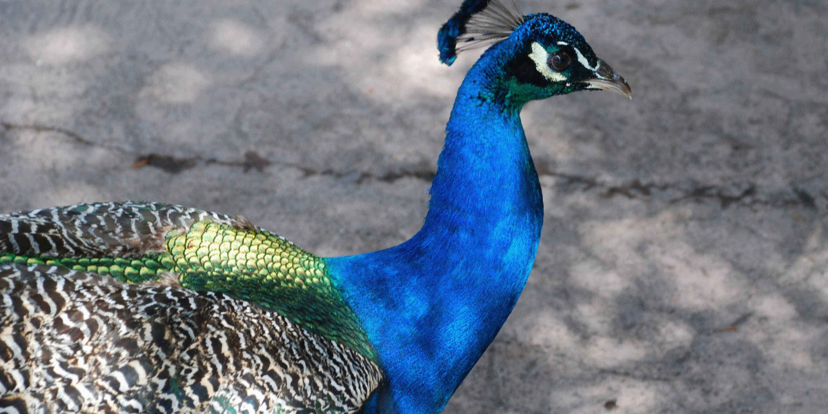 Tất tần tật về Lợi ích mà bạn cần biết