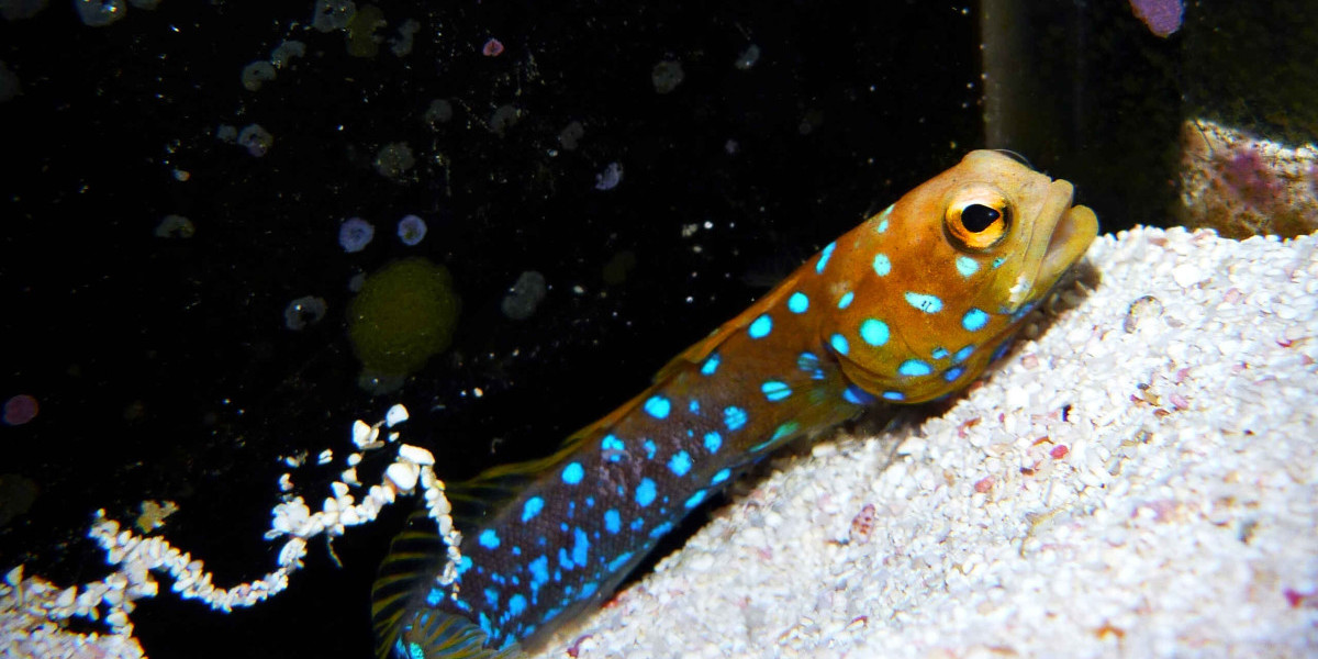 Tất tần tật về Phương pháp mà bạn cần biết