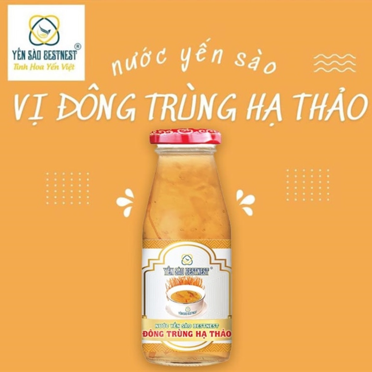Nước yến sào Bestnest Đông Trùng Hạ Thảo