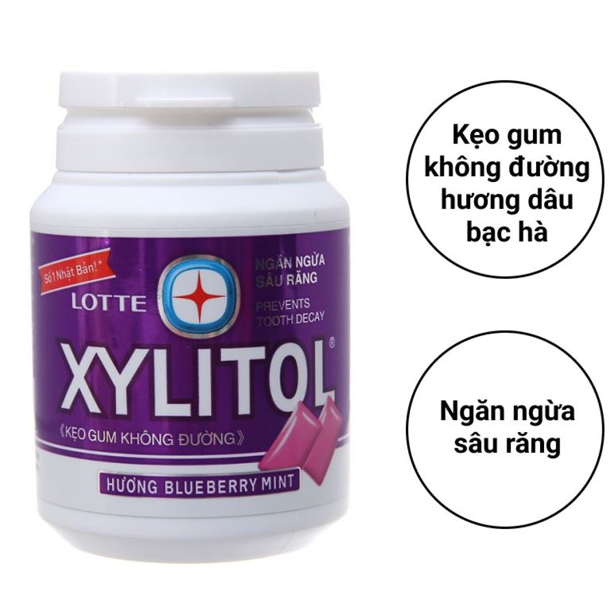 Kẹo gum không đường Lotte Xylitol hương Blueberry Mint 55.1g