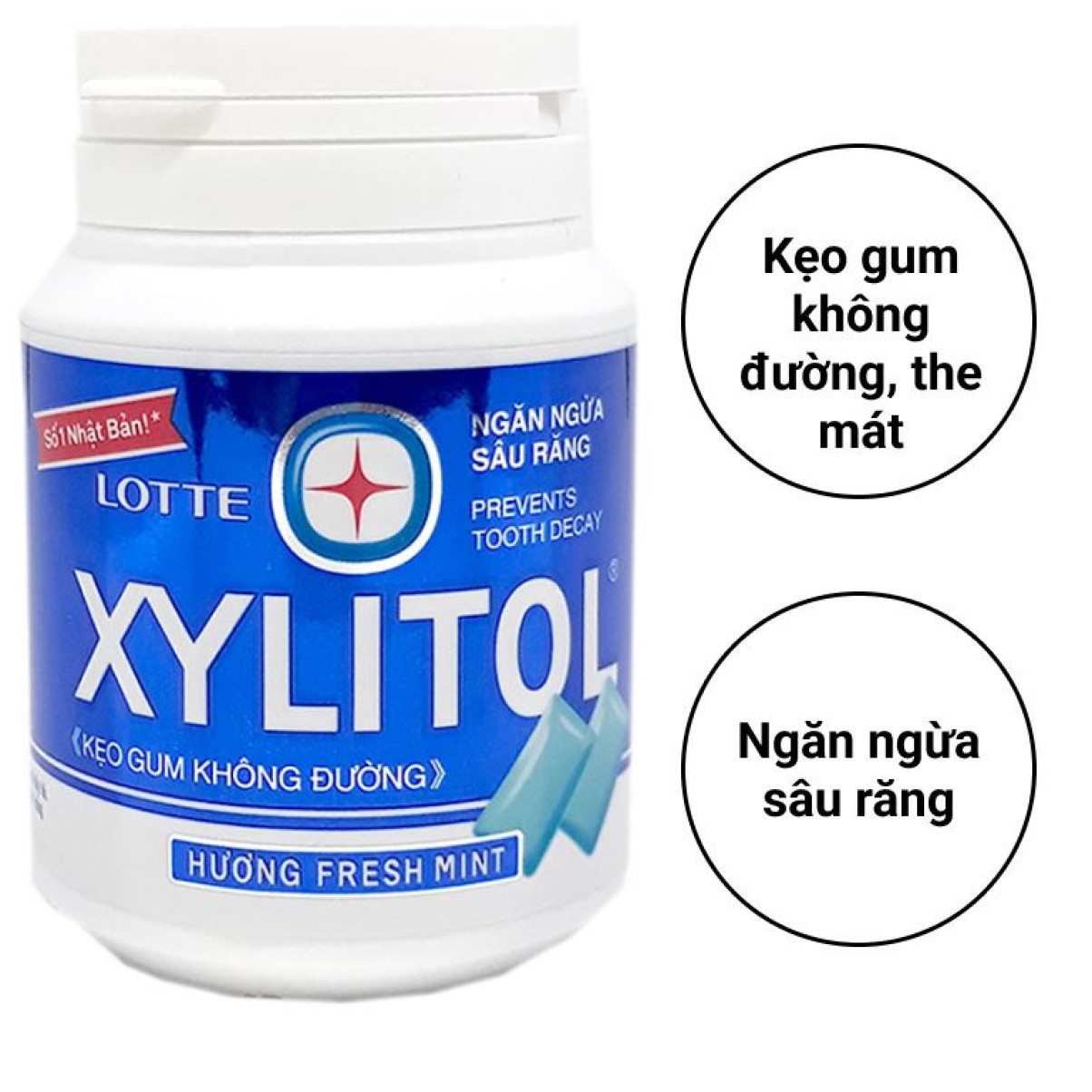 Kẹo gum không đường Lotte Xylitol hương Fresh Mint 55.1g
