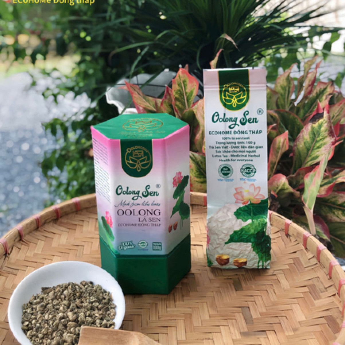 Hộp 100gr OolongSen