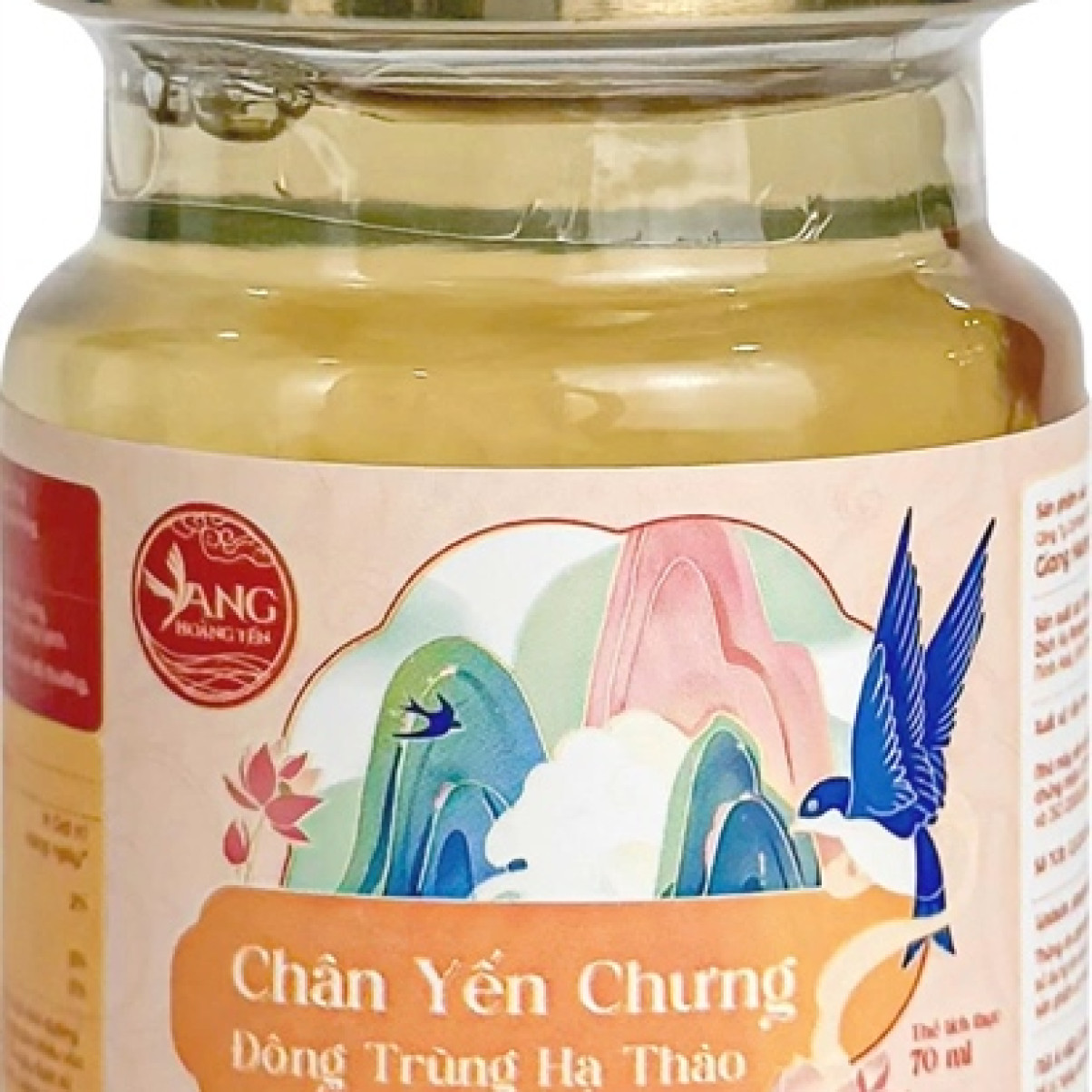 Chân Tổ Yến Chưng Đông Trùng Hạ Thảo 10g