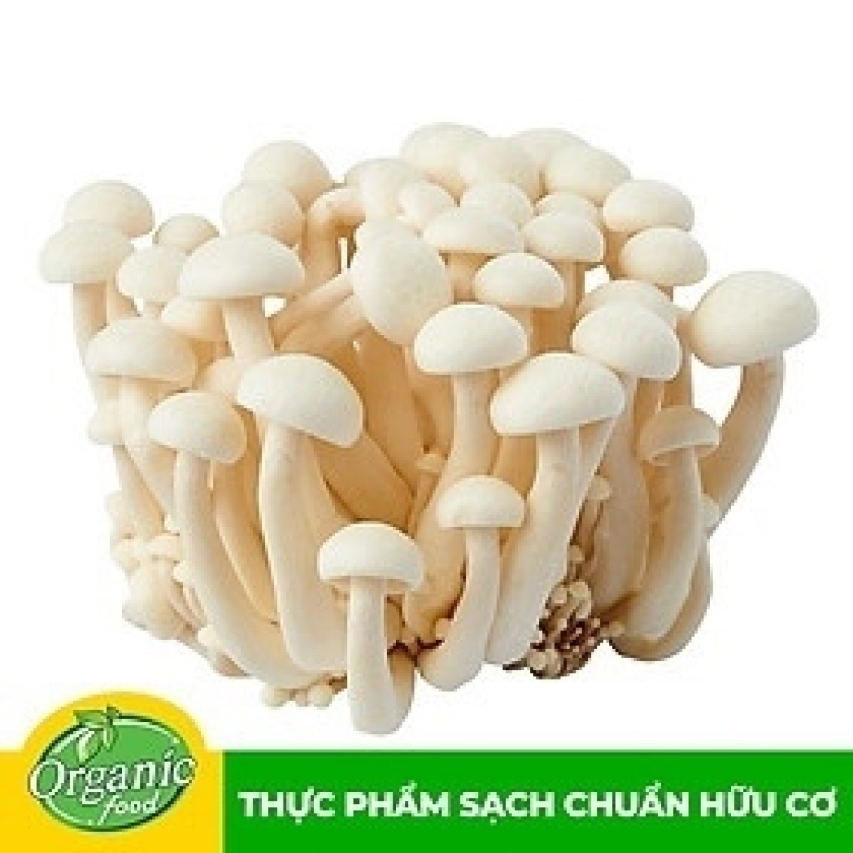 Nấm Linh Chi trắng Hàn Quốc 150g