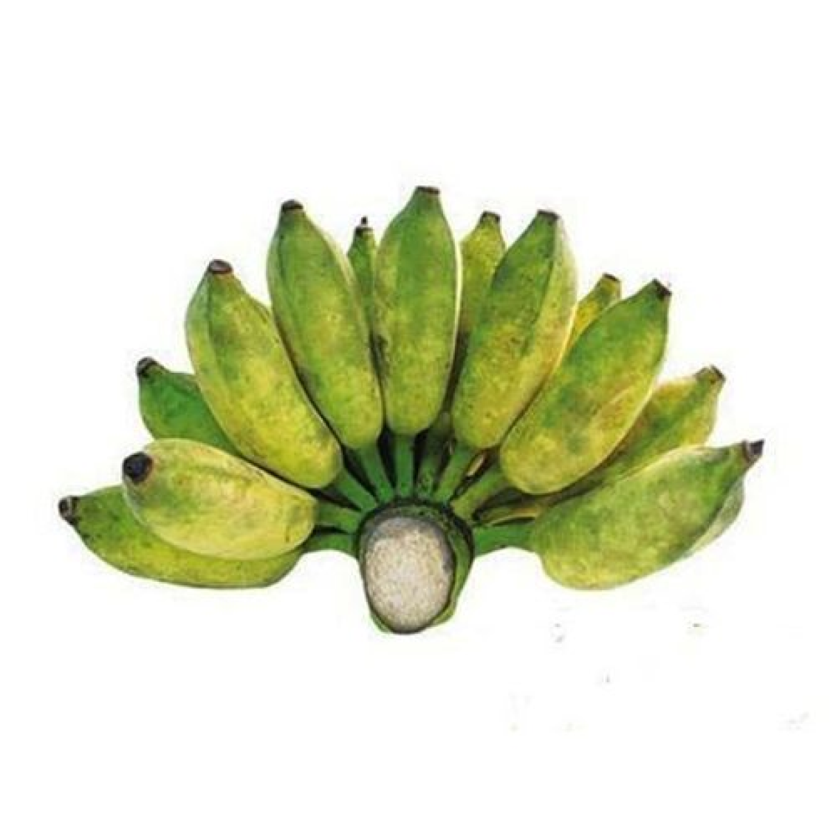 Chuối Sứ Miền Tây