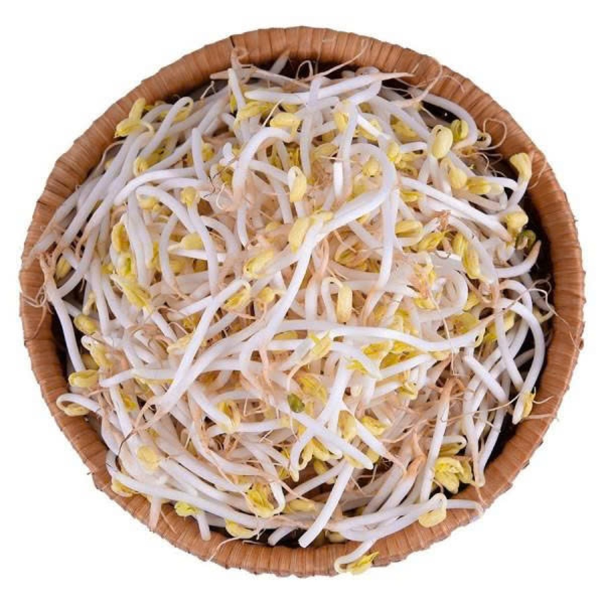 GIÁ SỐNG 200 G