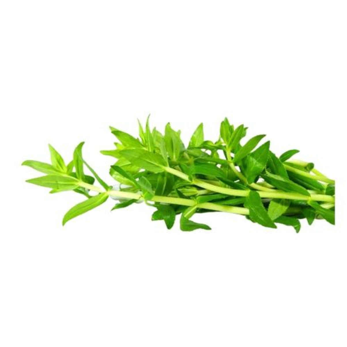 Ngò Ôm Miền Tây 100g