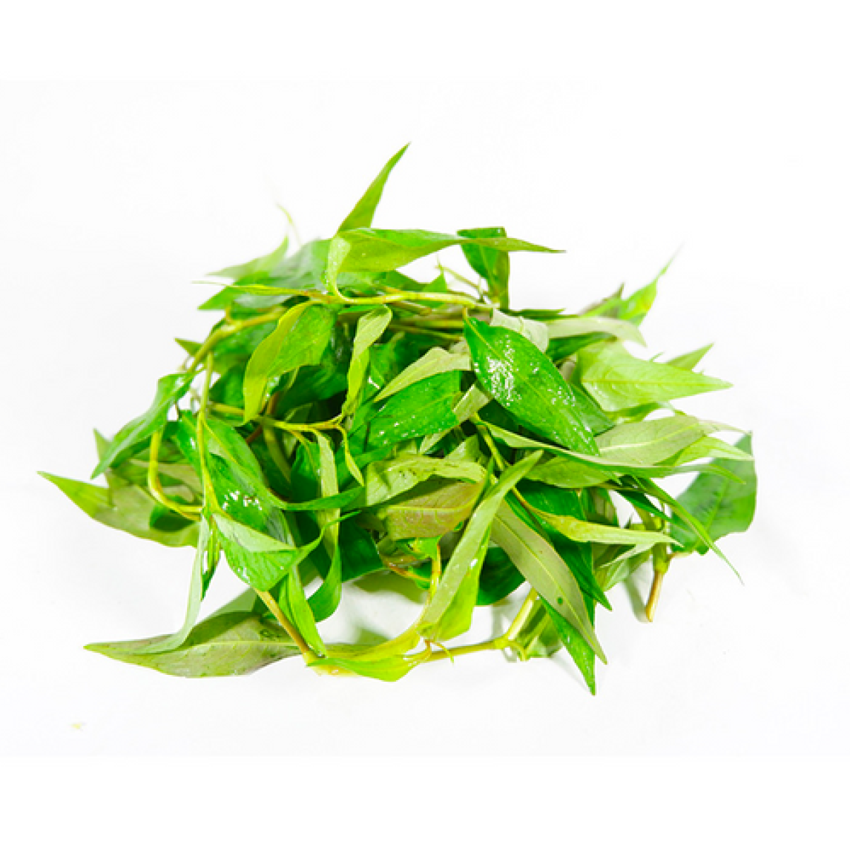 Rau Răm Miền Tây 100g