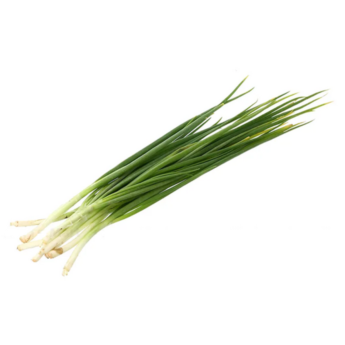 Hành Lá Đà Lạt 100g