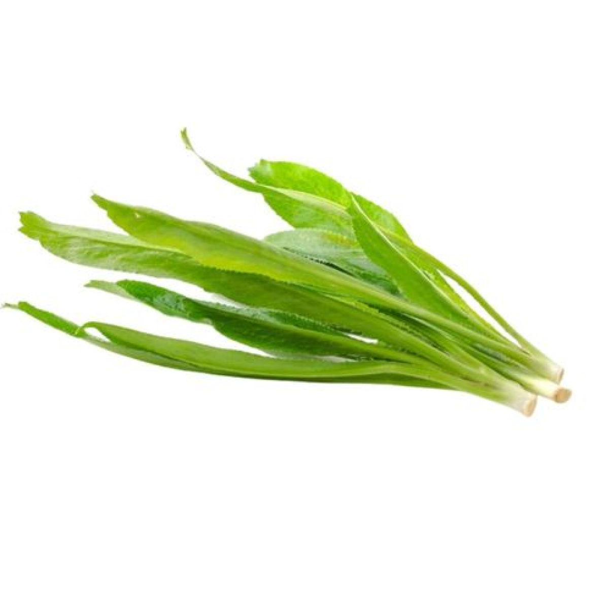 Ngò Gai Miền Tây 100g