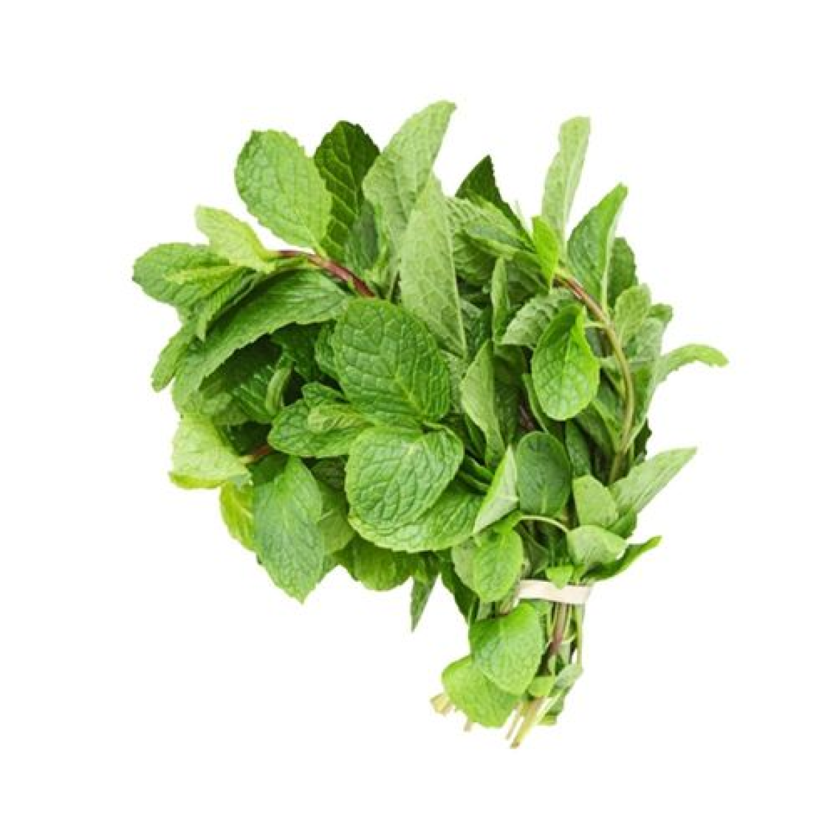 Húng Lủi (Húng Bạc Hà) 100g