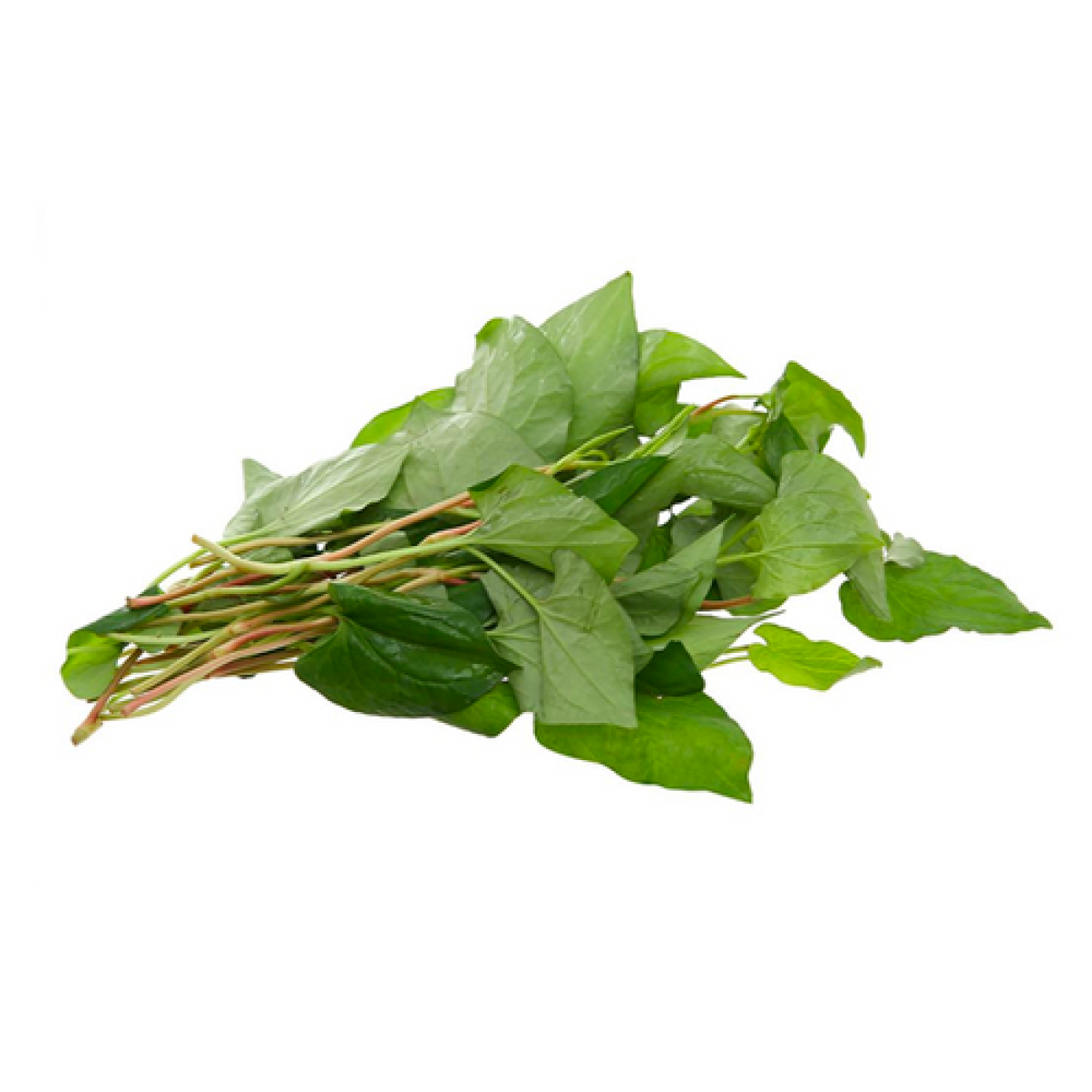 Rau Diếp Cá Miền Tây 100g