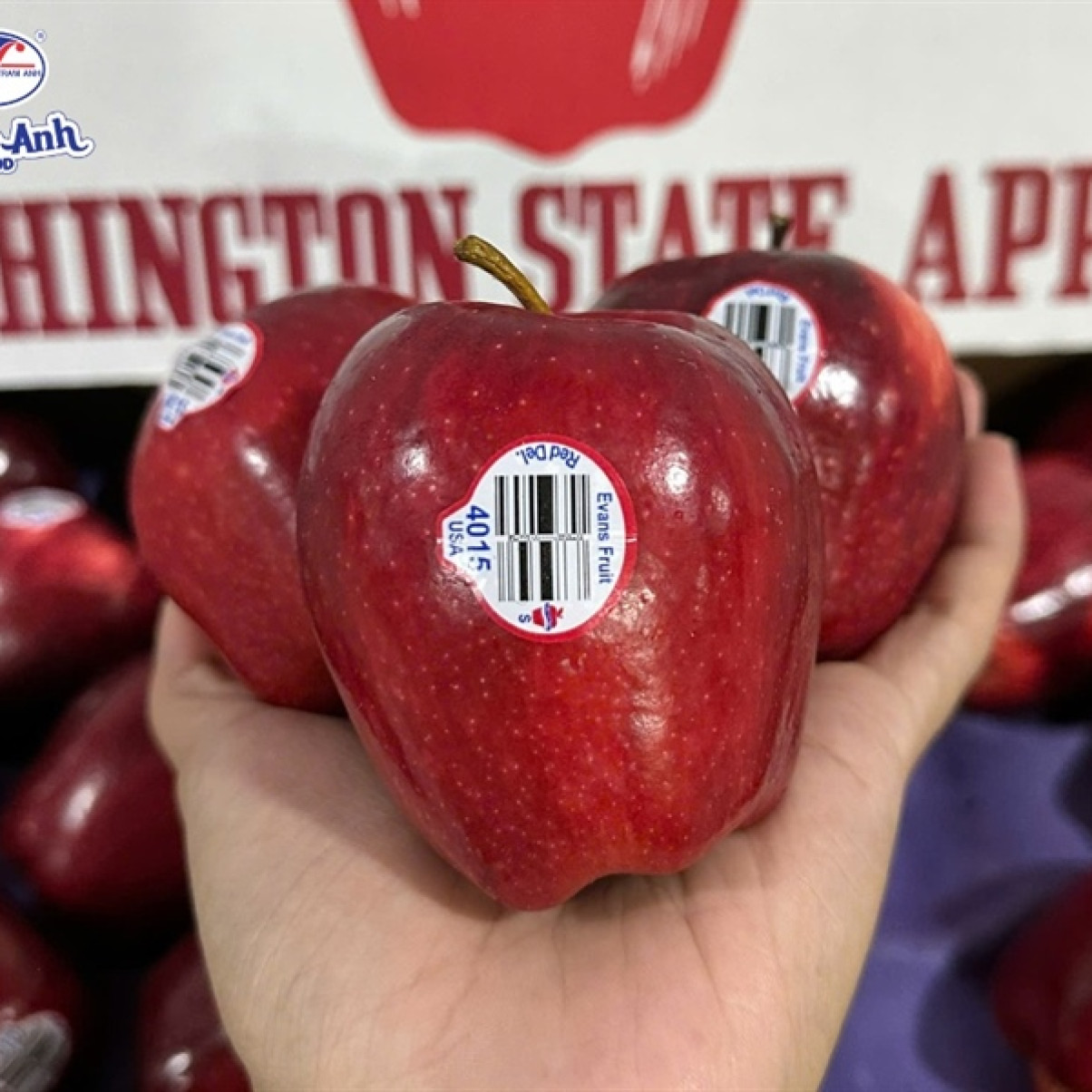 Táo Red Mỹ size 100/113