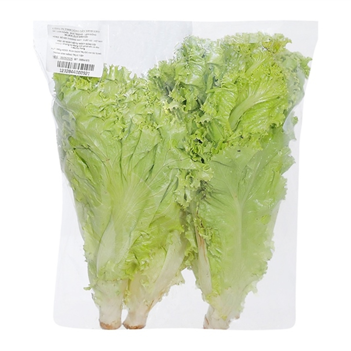 Xà Lách Lô Lô Xanh Thủy Canh