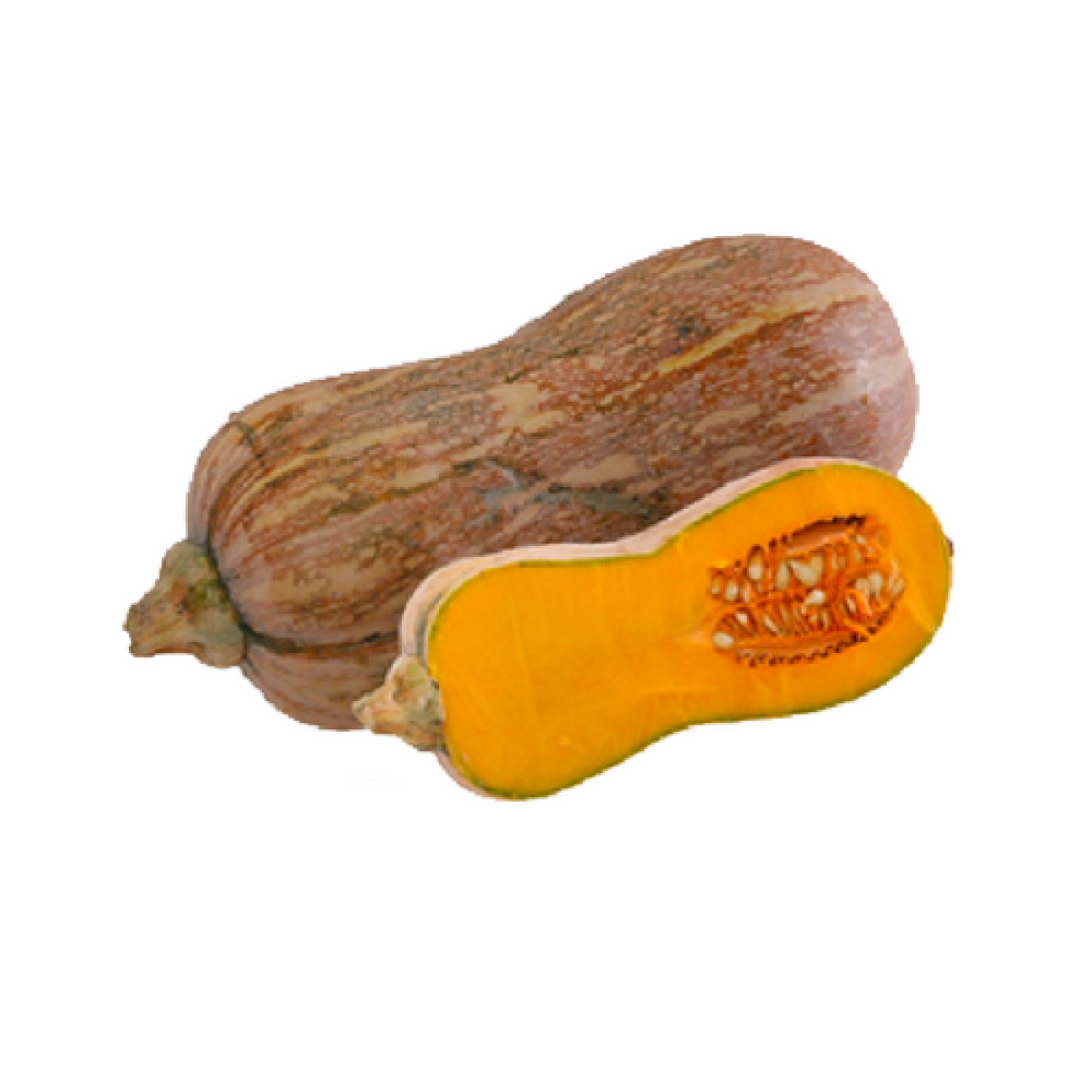 Bí đỏ hồ lô 1.2kg/trái