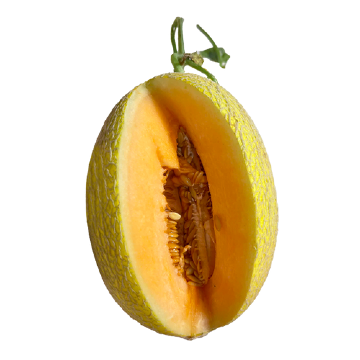 Dưa Lưới Ruột Vàng