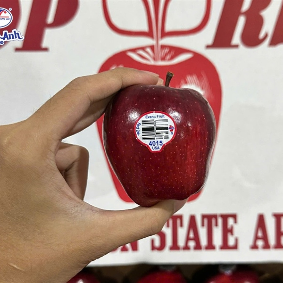Táo Red Mỹ size 100/113