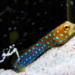 Cách những trang trí hiện đại nhất năm 2023