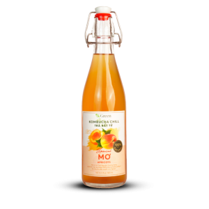 Vkombucha Chill Trà bất tử 500ml Mơ