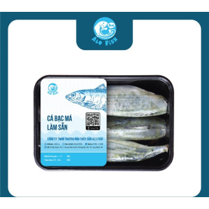 Cá bạc má 300g (Size 8–12 con/kg)