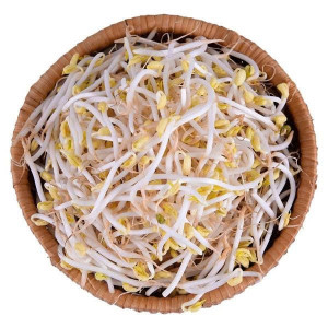 GIÁ SỐNG 200 G