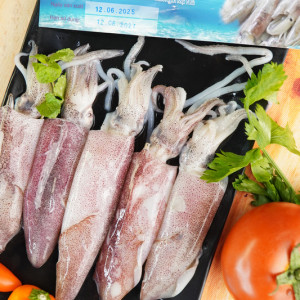 Mực ống nguyên con 425g