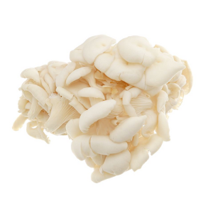 Nấm Bào Ngư Trắng (Nấm Sò Trắng) 200g