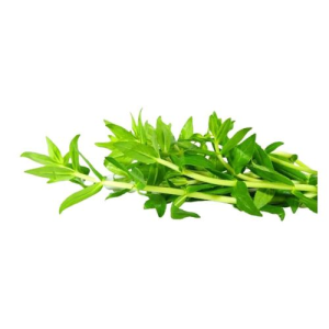 Ngò Ôm Miền Tây 100g