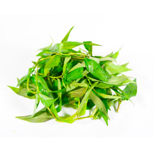 Rau Răm Miền Tây 100g