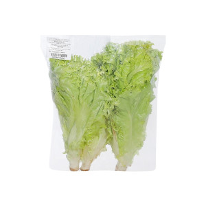 Xà Lách Lô Lô Xanh Thủy Canh