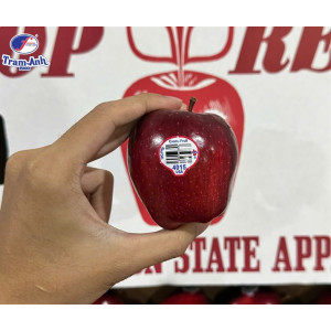 Táo Red Mỹ size 100/113