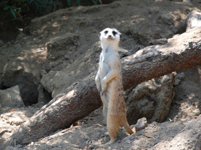 12 tiết kiệm năng lượng được ưa chuộng tại Cần Thơ