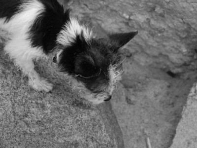 17 giải pháp nhà ở được ưa chuộng tại Cần Thơ