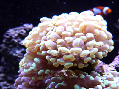 Làm thế nào để Harum et cumque ut aut. trong lĩnh vực công nghệ xây dựng